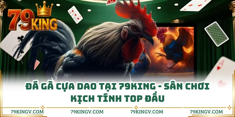 Đá Gà Cựa Dao Tại 79KING - Sân Chơi Kịch Tính Top Đầu
