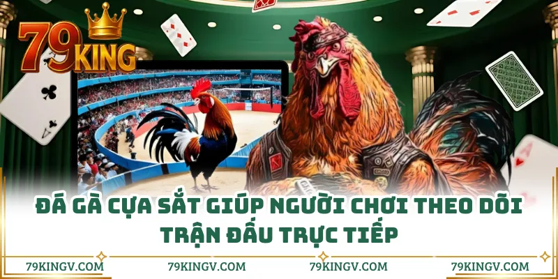 Đá gà cựa sắt giúp người chơi theo dõi trận đấu trực tiếp