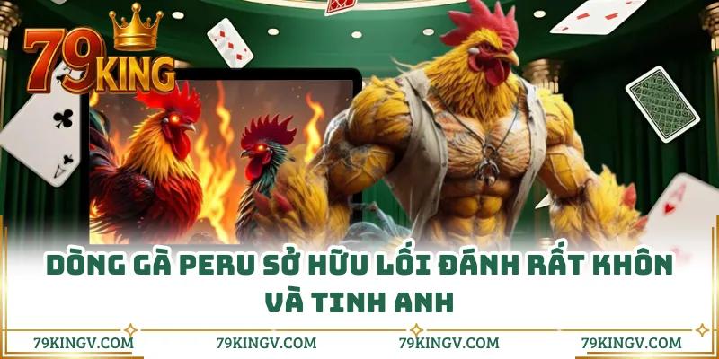 Dòng gà Peru sở hữu lối đánh rất khôn và tinh anh