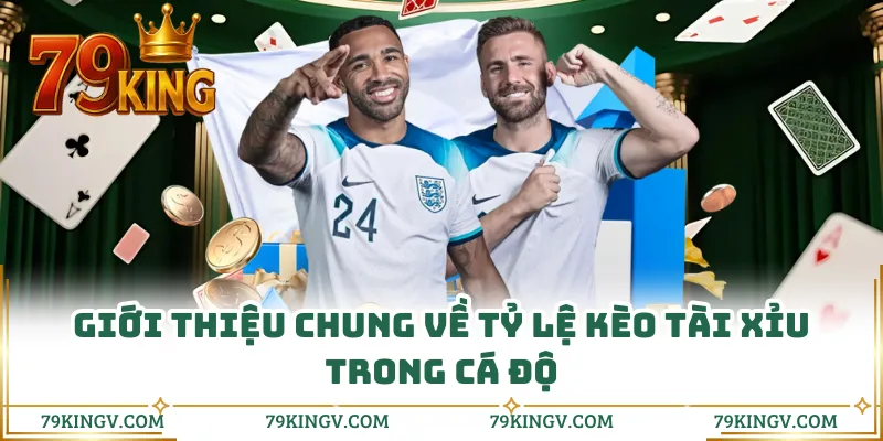 Giới thiệu chung về tỷ lệ kèo tài xỉu trong cá độ