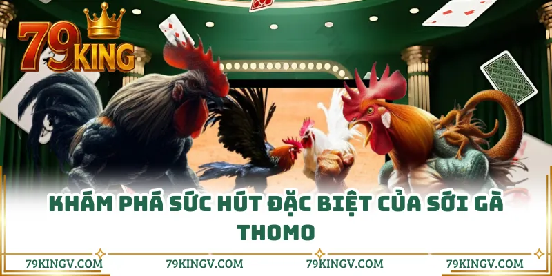 Những cửa cược đặc trưng làm nên sức hút của đá gà Thomo