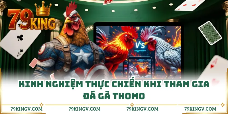 Kinh nghiệm thực chiến khi tham gia đá gà Thomo