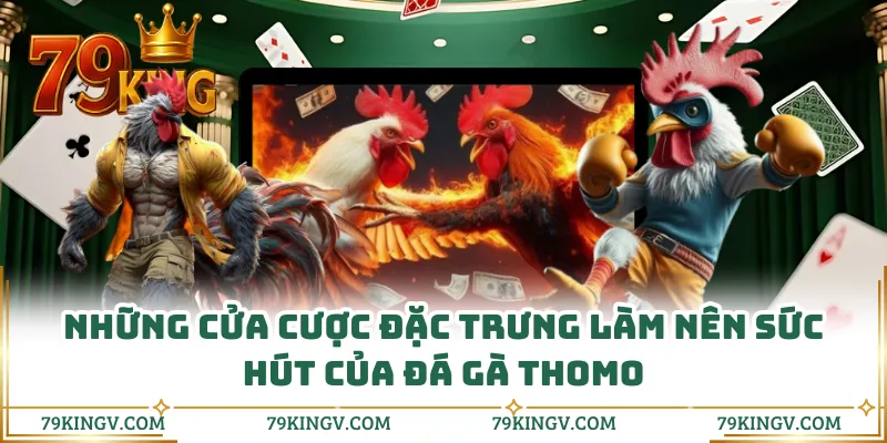 Khám phá sức hút đặc biệt của sới gà Thomo
