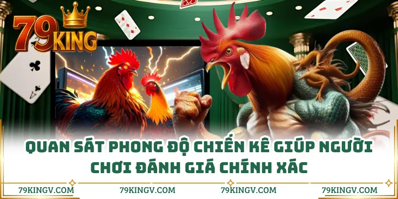 Quan sát phong độ chiến kê giúp người chơi đánh giá chính xác