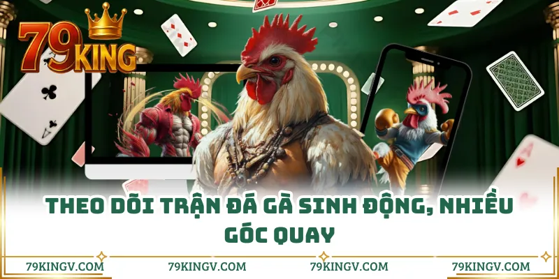 Theo dõi trận đá gà sinh động, nhiều góc quay